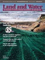 Current Issue